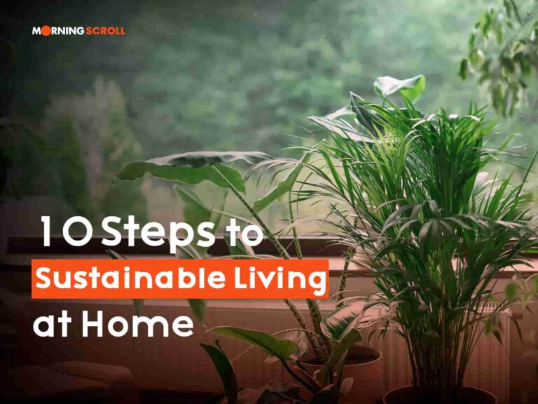 10 Steps to Sustainable Living at Home