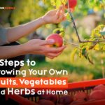 7-Steps-to-Growing-Your-Own-Fruits,–min
