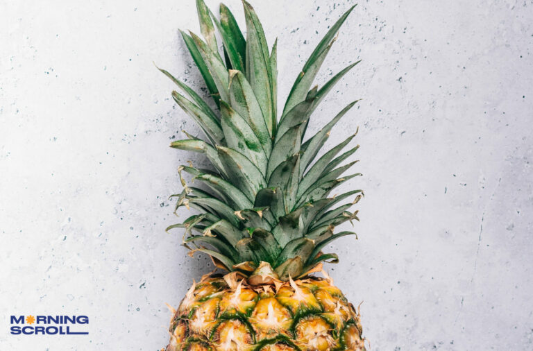 Pineapples Don’t Grow on Trees