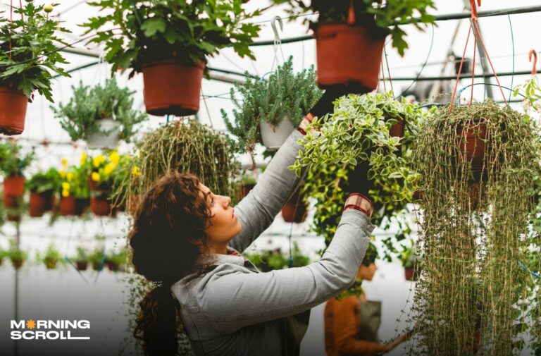 Breathe Life into Your Terrace: A Guide to Verdant Suspended Wonders
