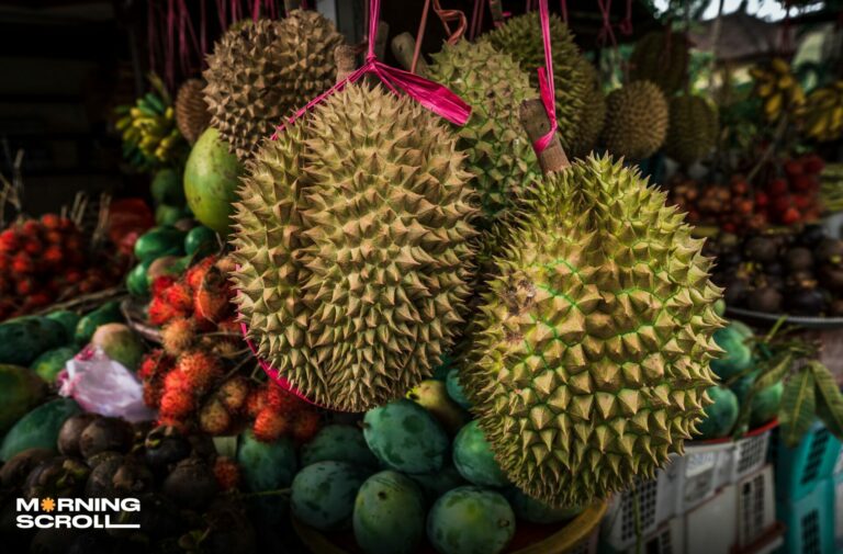 A Deeper Dive into the Names Behind the World’s : Most 8 Expensive Fruits